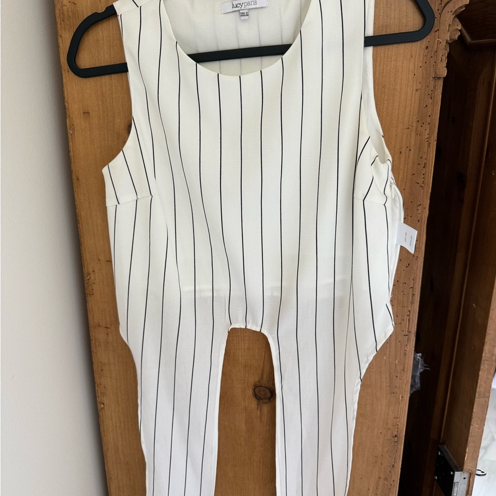 Lucy Paris Black and White Pinstripe crop top